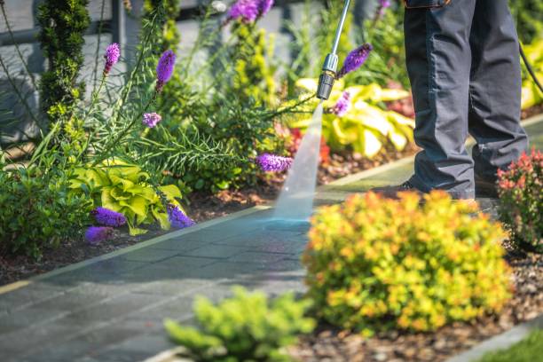 Best Pre-Holiday Cleaning  in Cottage Grove, OR